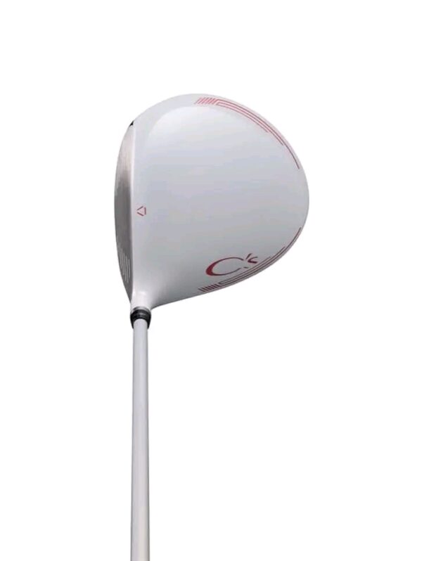 1788550629394 iron golf club set