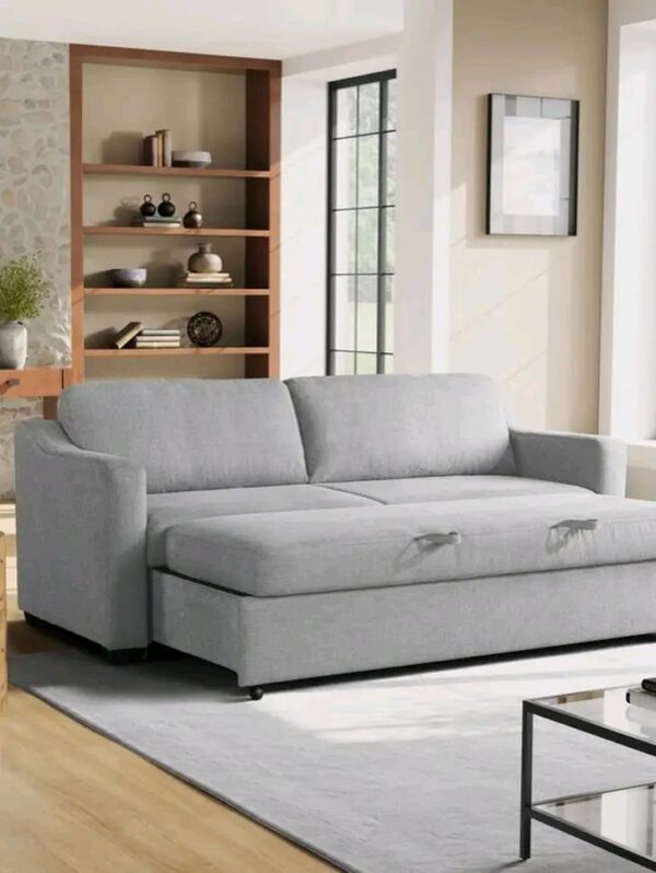 Sleeper Sofa