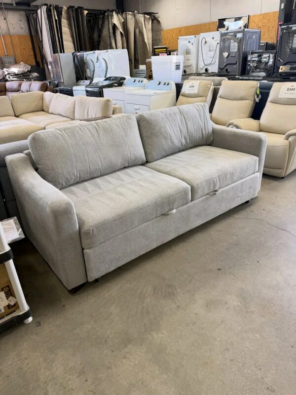 sleeper sofa