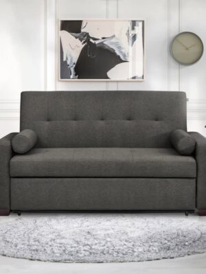 sleeper sofa